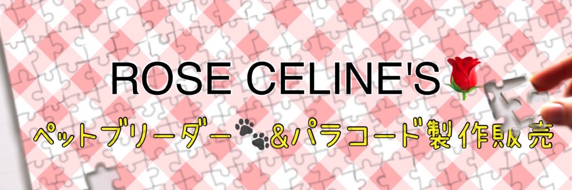 aji_kitty's profile banner image