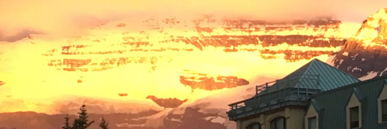 Sarah Teebay banner