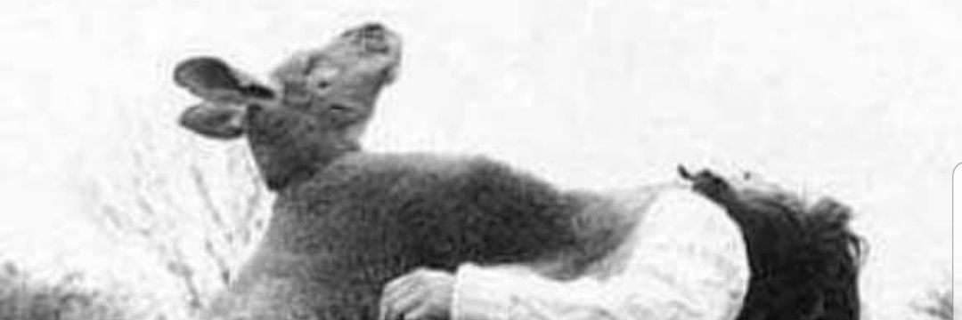 thatboynolan's profile banner image