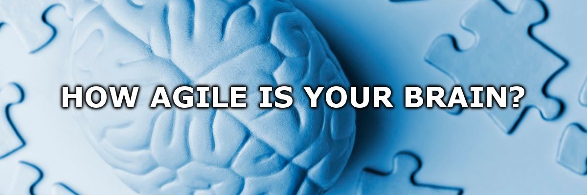 agilebrain1's profile banner image