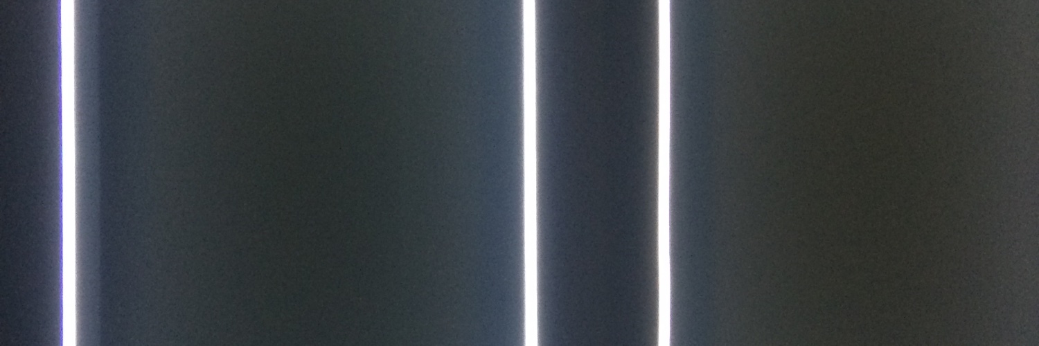 lemonegusi's profile banner image