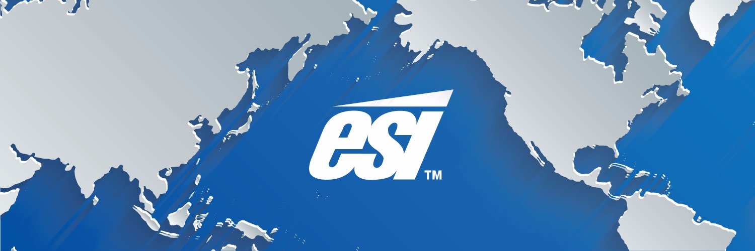 ESIEnterprisesInc banner
