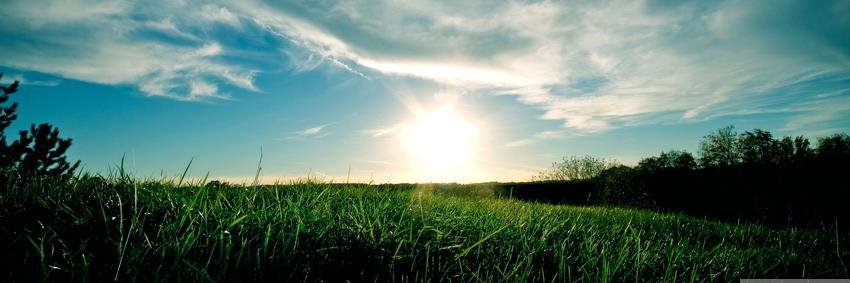 BetsyGilborn's profile banner image