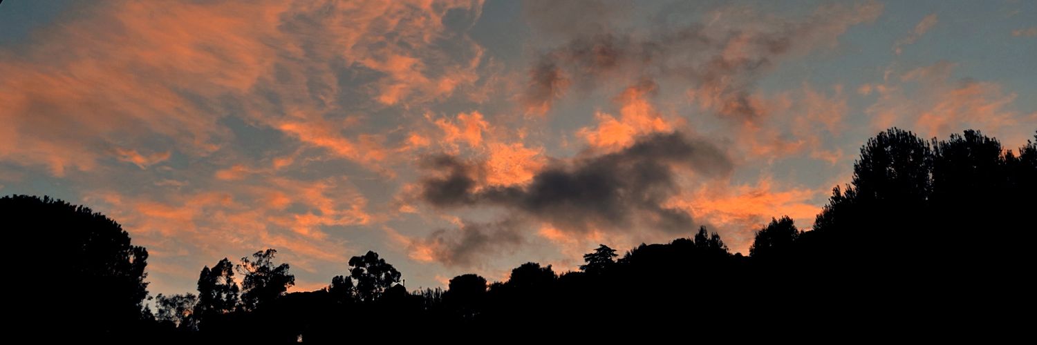 Laia Rams banner