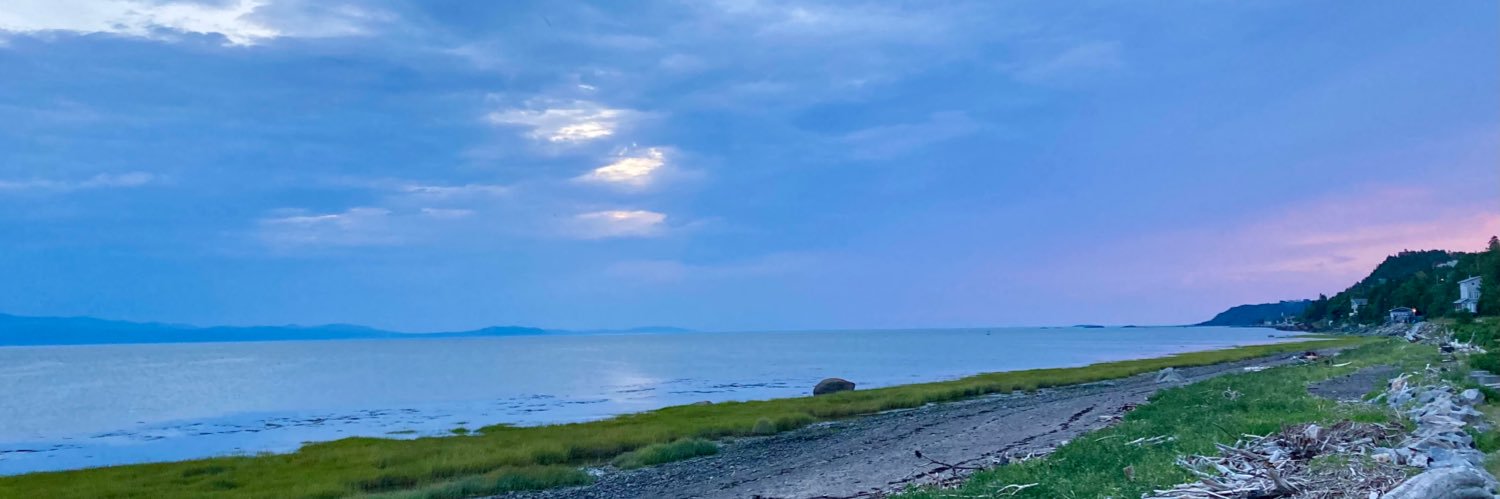 Elisabeth Fleury banner