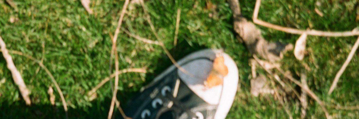 notoamoth's profile banner image