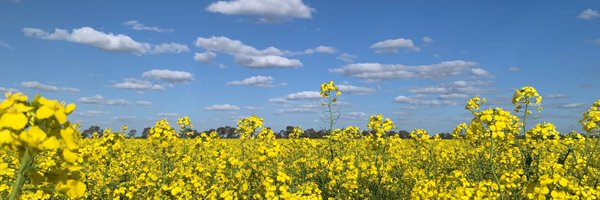Eleanor_m_lee Profile Banner