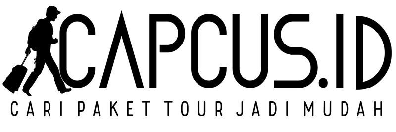 capcusid's profile banner image