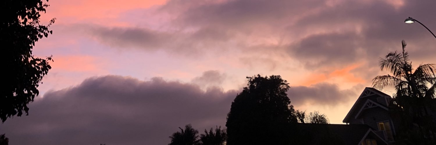 MissAurit's profile banner image
