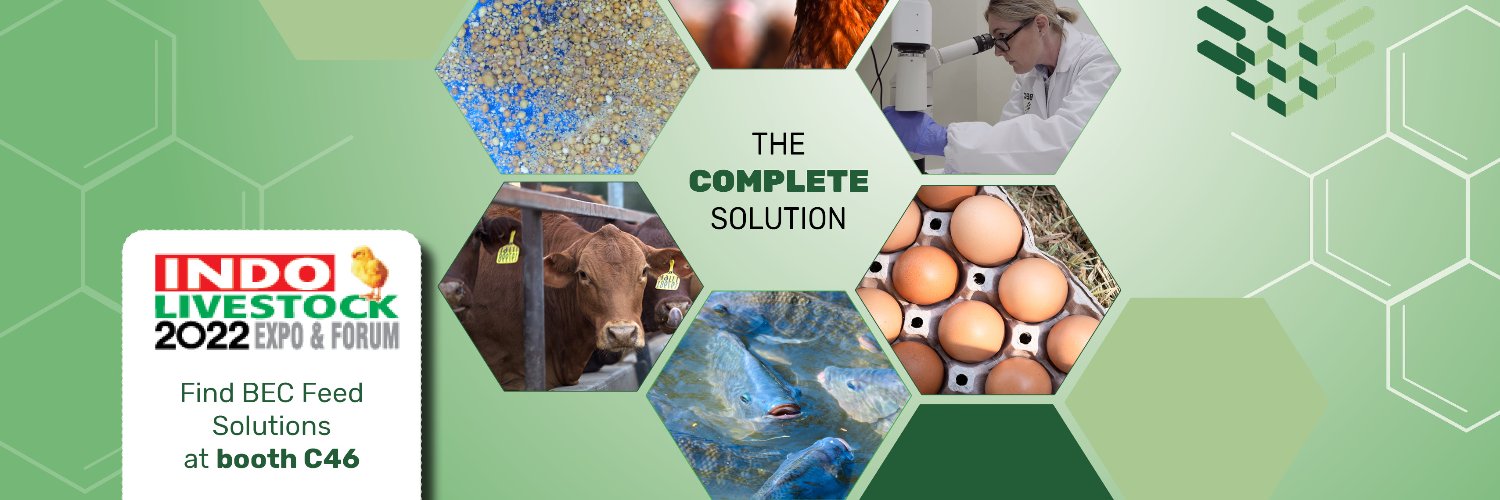 BEC Feed Solutions banner