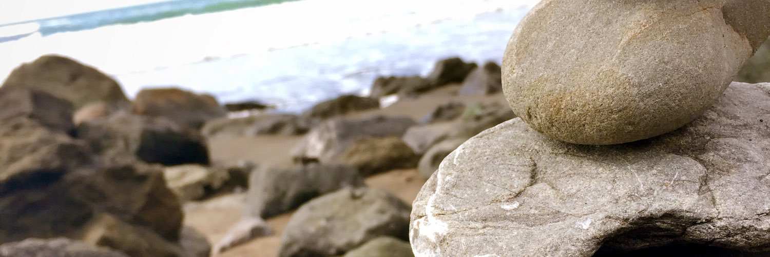 WestRoots_'s profile banner image