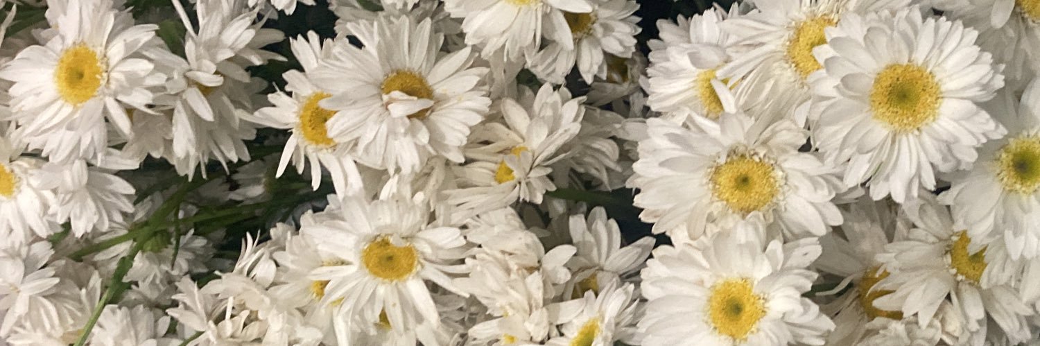 m_gob_mx's profile banner image