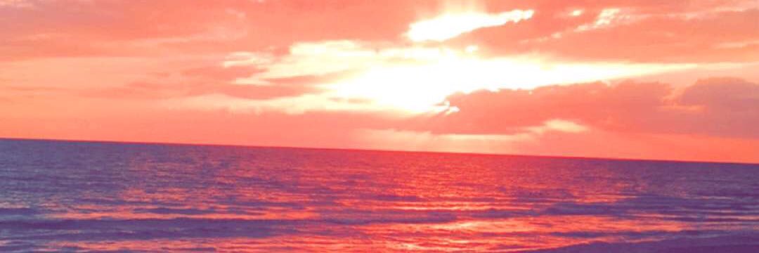young_miley's profile banner image