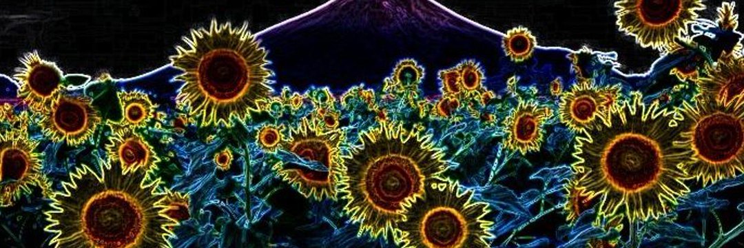 Ruubiaza's profile banner image