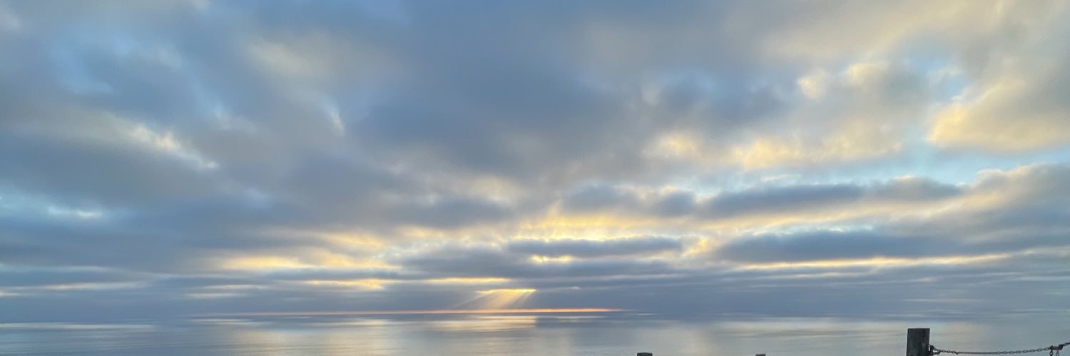 SaraMaherali's profile banner image