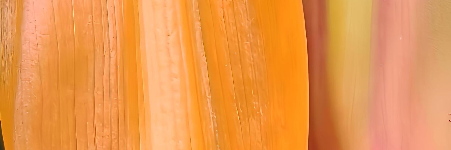 MoveWellBLR's profile banner image