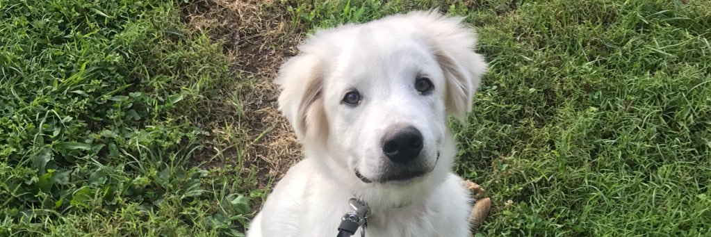 GergNitrap's profile banner image