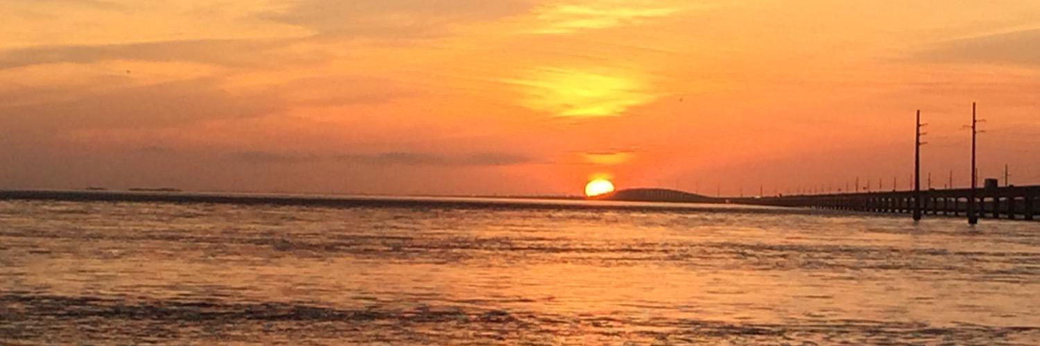 mr_pppoe's profile banner image