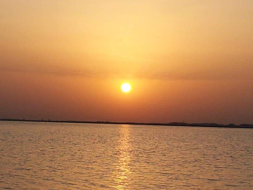 ceako_beako's profile banner image