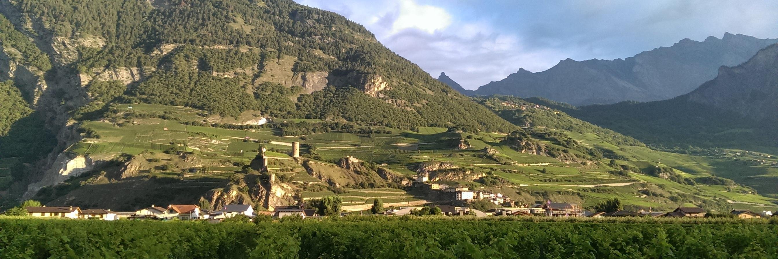 Damien Luisier banner