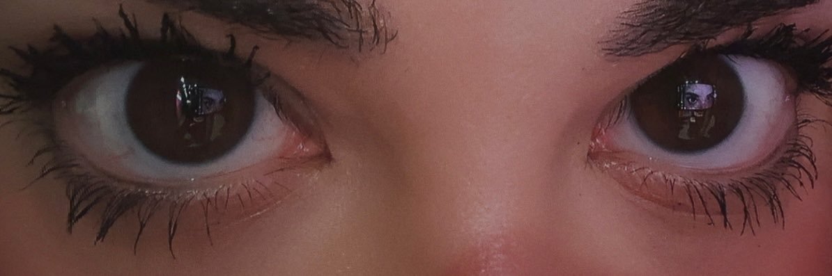 auntiesemitic banner