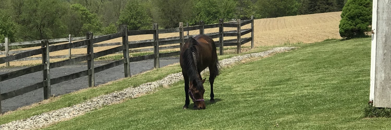 Pixie Trader 🤍 banner