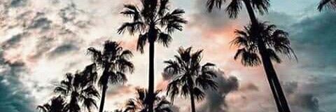 WakComel's profile banner image