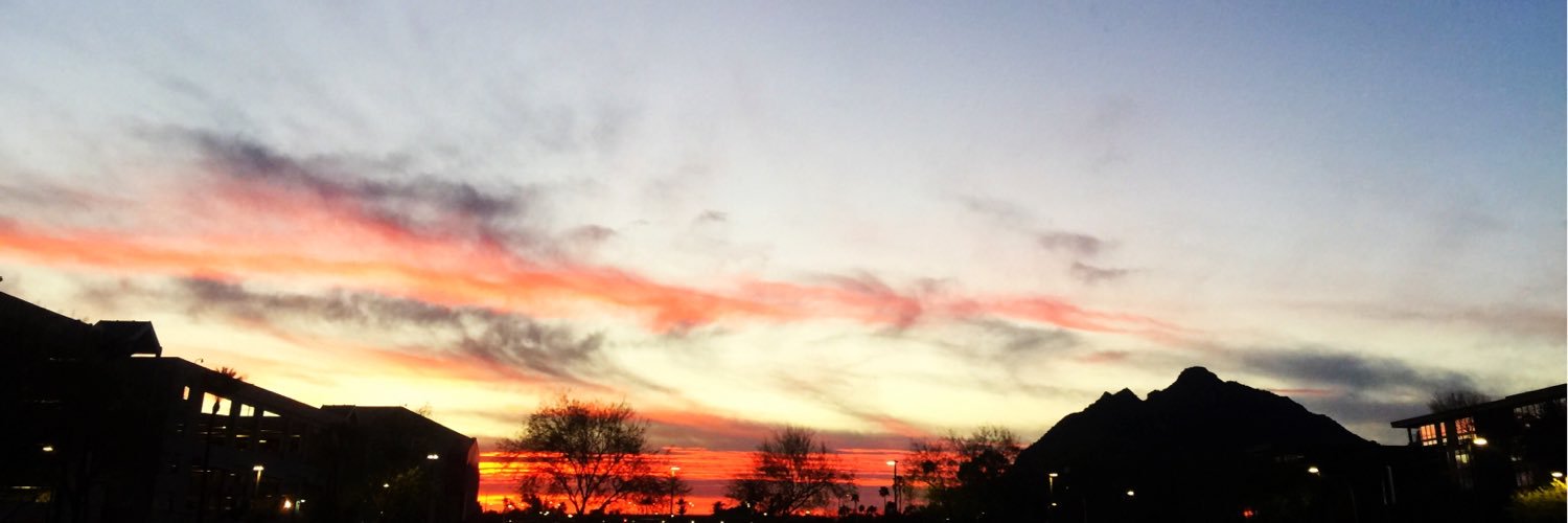 Ericka Ferris banner