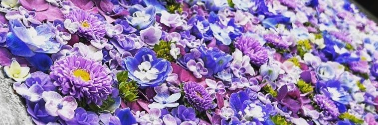 t_y__1216's profile banner image