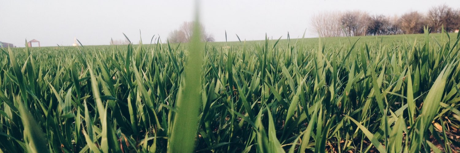 SintikOfficial's profile banner image