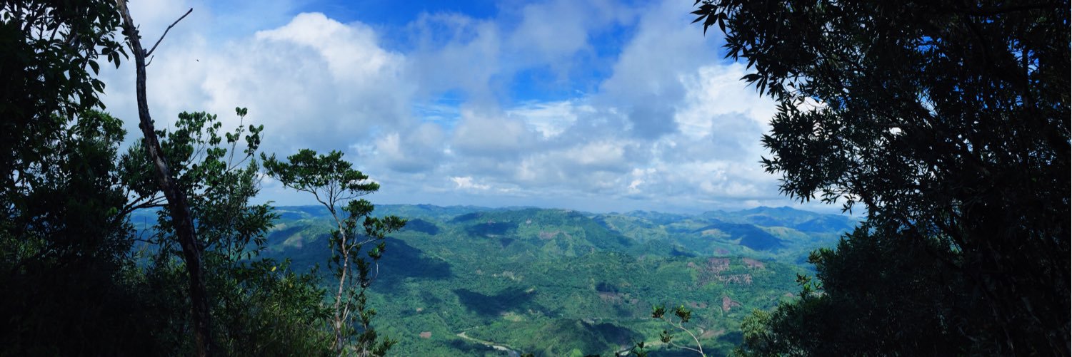 mikkaramil's profile banner image