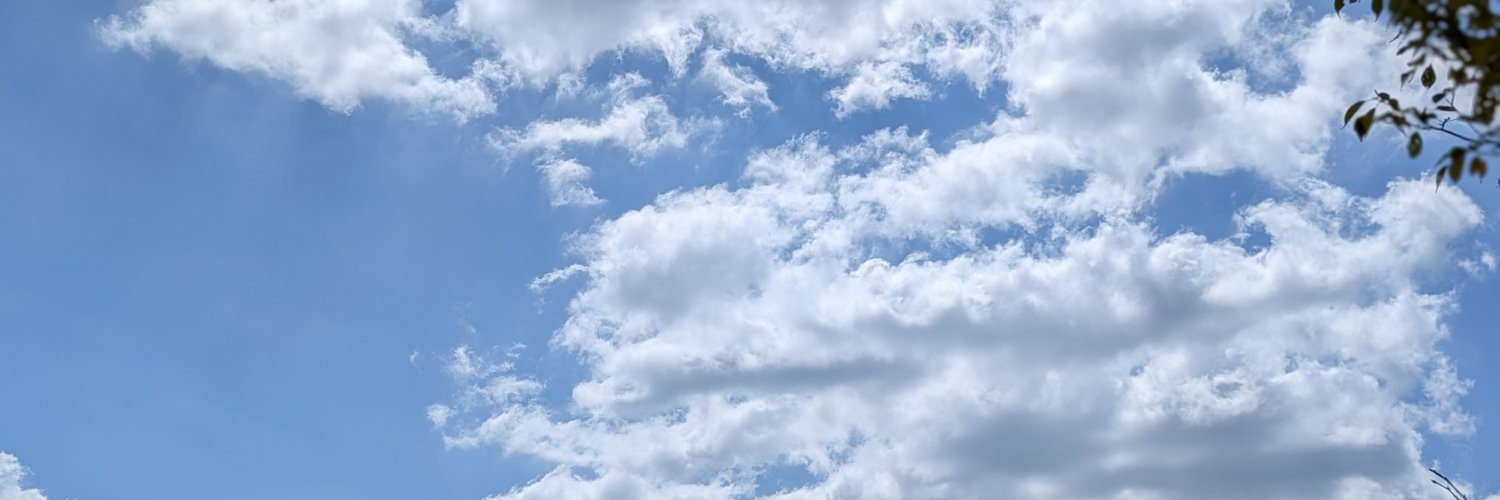 RZirogoro's profile banner image