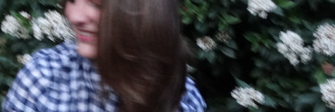 isalarrosaC's profile banner image
