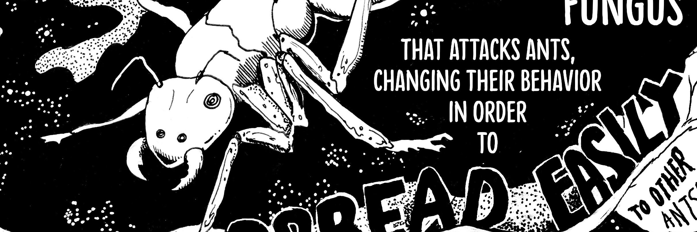 lhsimm's profile banner image