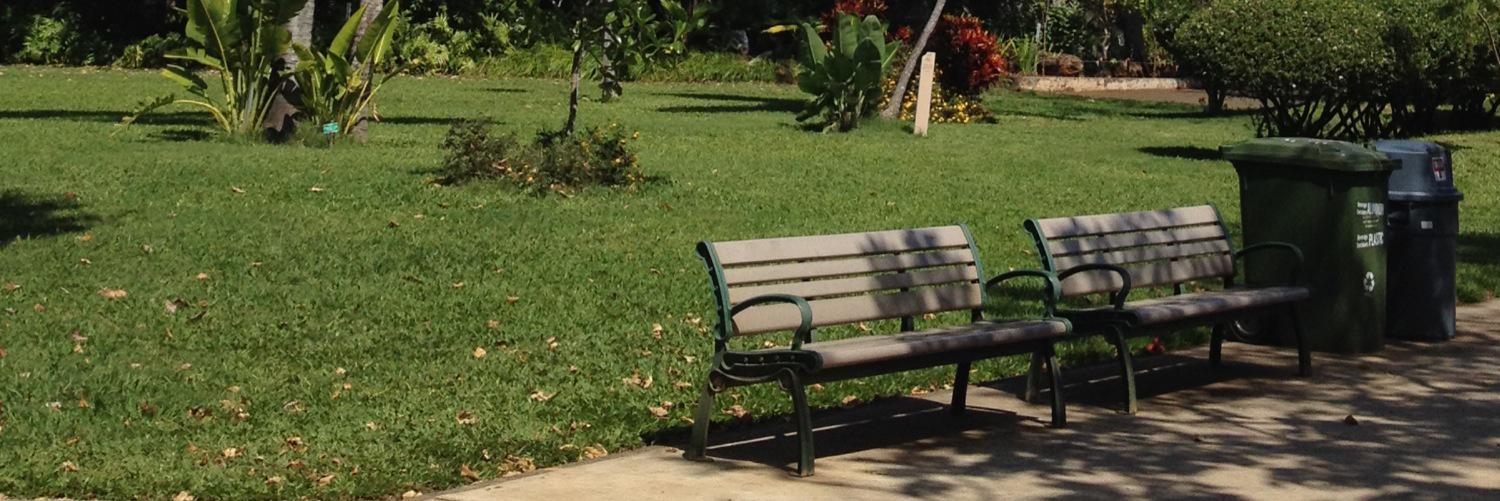 roo_scf's profile banner image