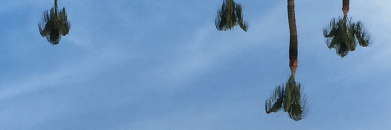 a_dureau's profile banner image