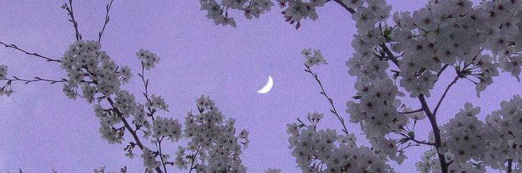 chaerryyyy's profile banner image