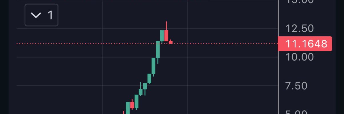 maxhodl1's profile banner image