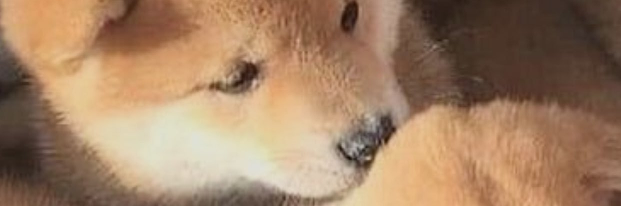 btjm123's profile banner image
