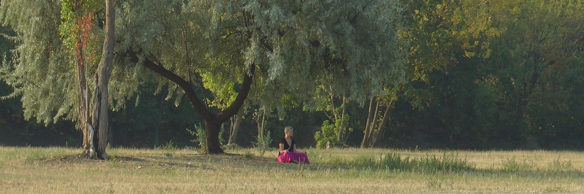 ellafilms's profile banner image