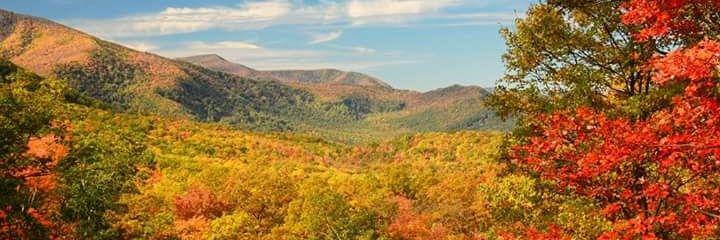 jeslynwilliams's profile banner image