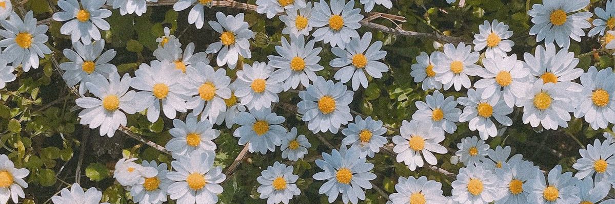 uncssss's profile banner image