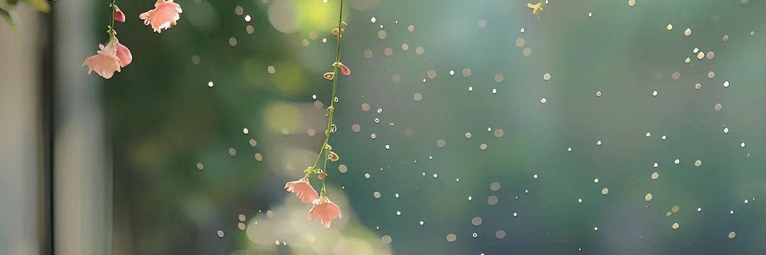 AshiqaPokhrel's profile banner image