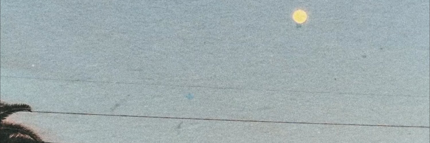 janelle 🐨 banner