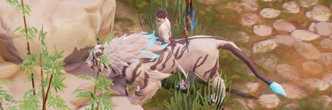 8494sea's profile banner image