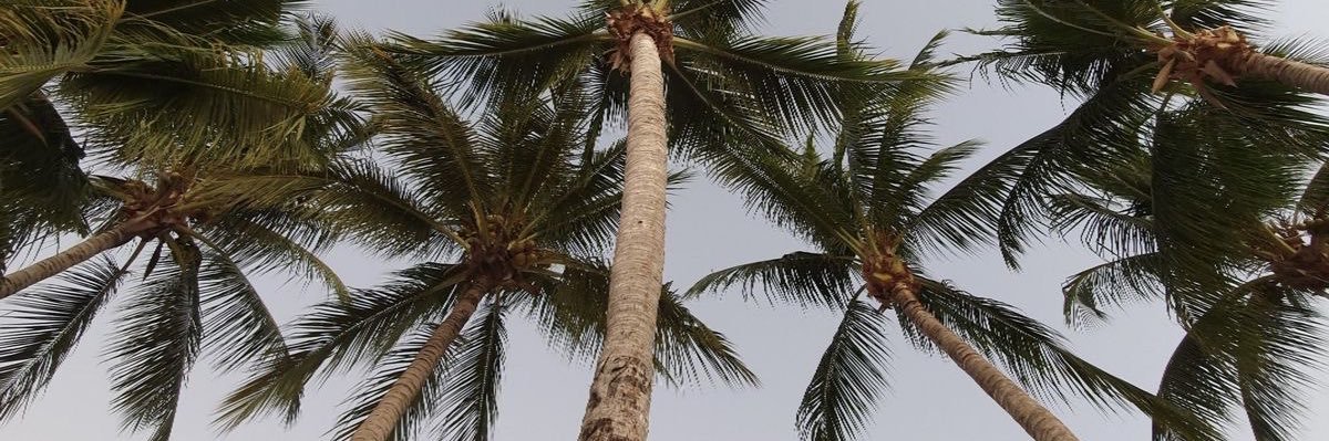 dshaikh24's profile banner image