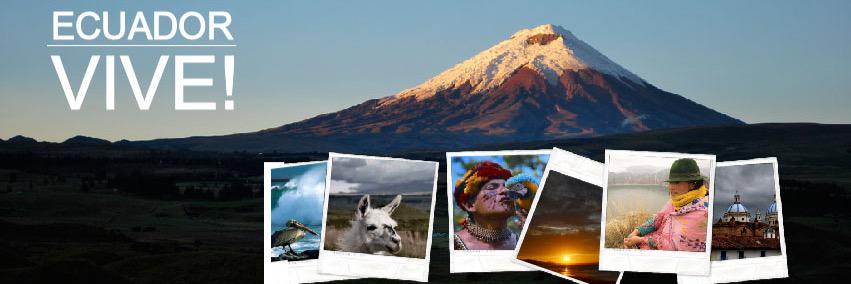ecuador_vive's profile banner image