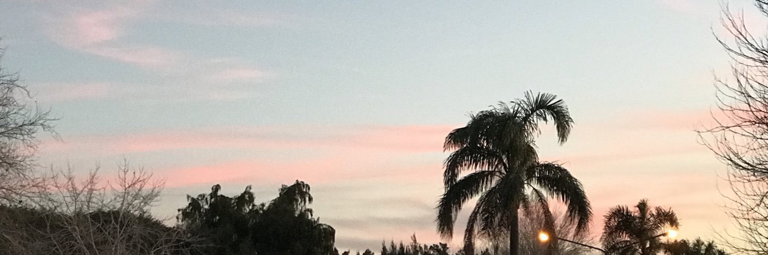 soofimachado's profile banner image