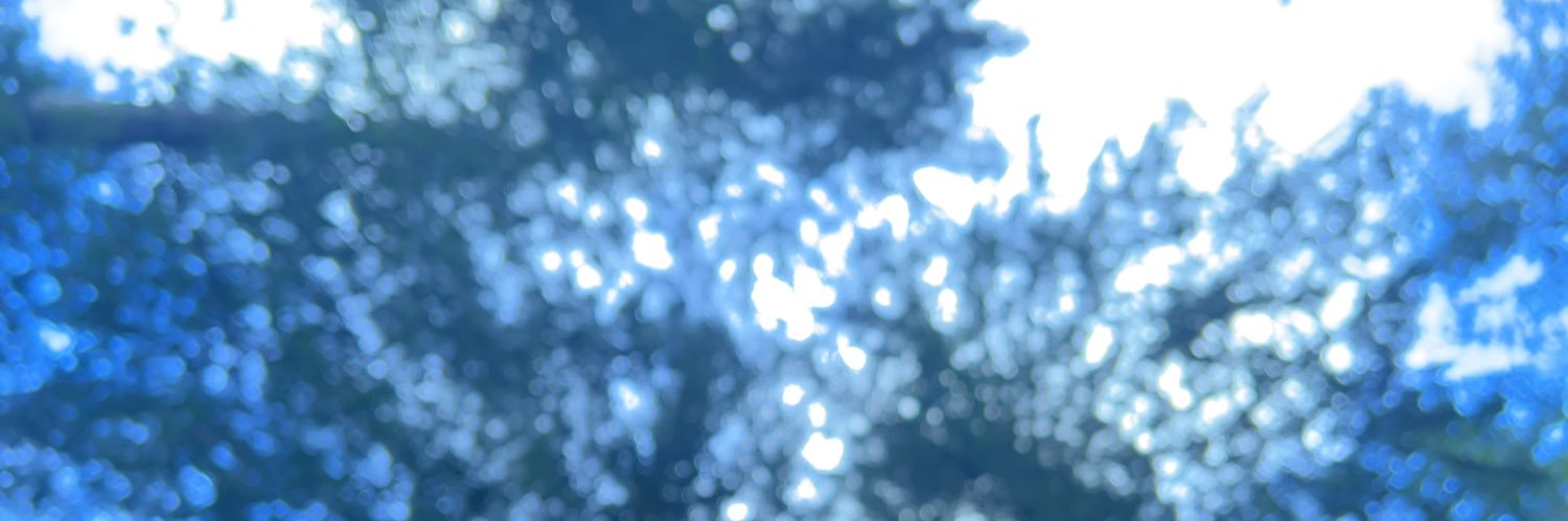 IamJesseCrystal's profile banner image