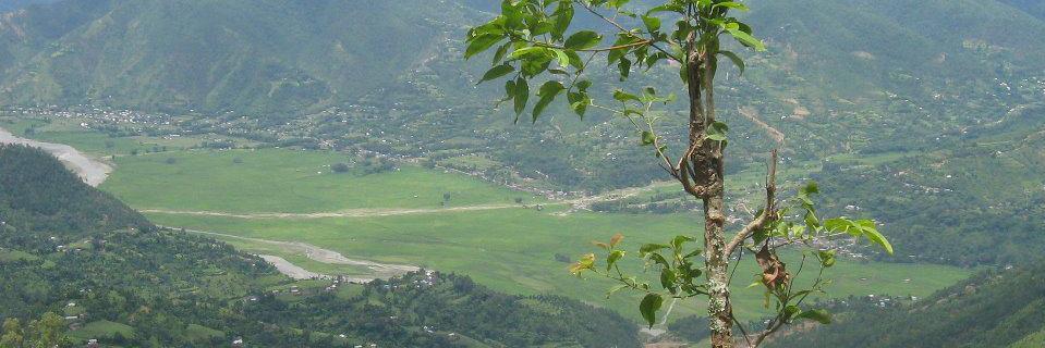 subedi2015's profile banner image